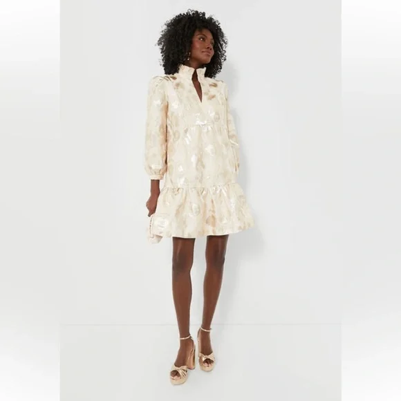 NWT Tuckernuck Palmerston Champagne Fil Coupé Mini Dress XXS Wedding Guest - Picture 10 of 13